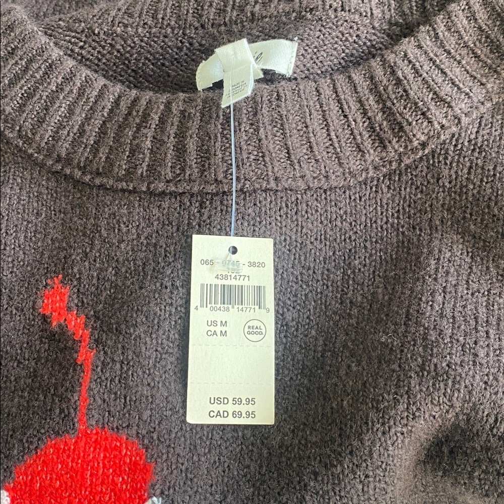 Aerie Charcoal Sweater with Red Accent M - Picture 8 of 8